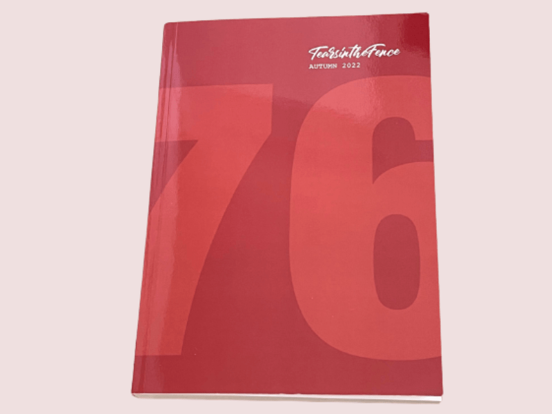 Poetry Publication in Tears in the Fence&nbsp;Magazine