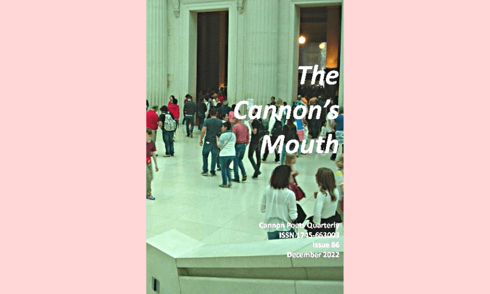 I’ve Been Published in The Cannon’s Mouth Literary&nbsp;Magazine!